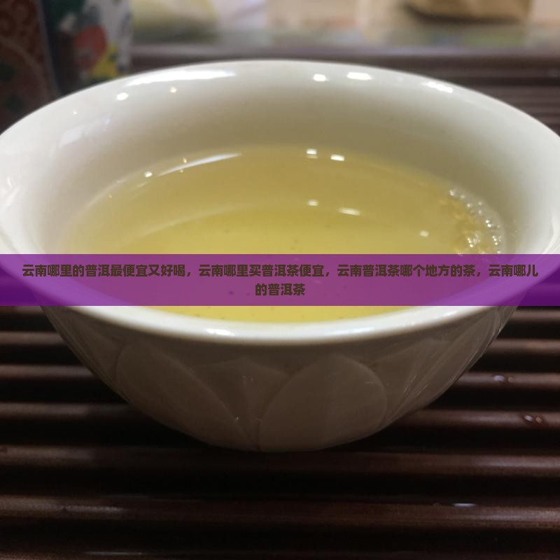 云南哪里的普洱最便宜