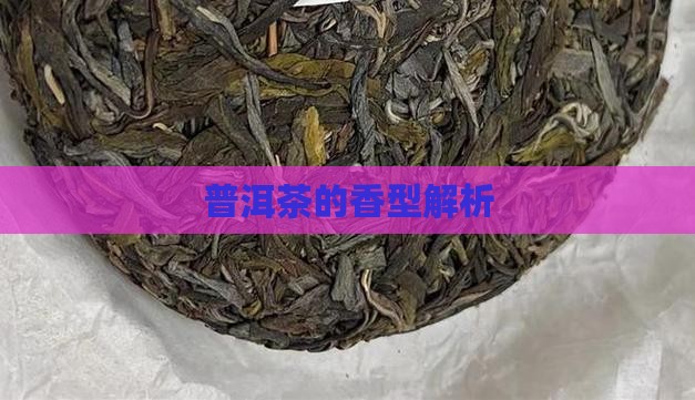 普洱茶属于哪一种香型