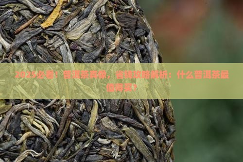 什么普洱茶最值得买