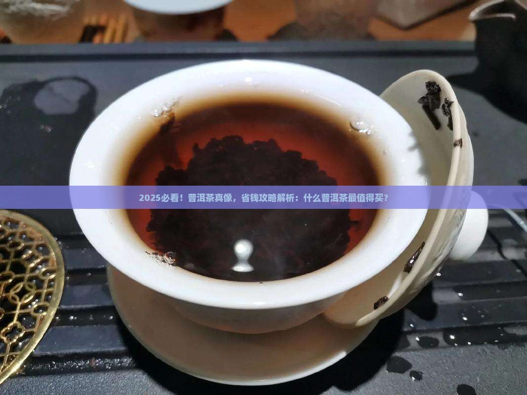 什么普洱茶最值得买