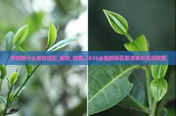 平时喝什么茶排结石