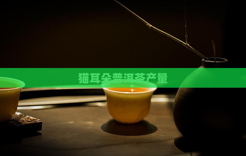 猫耳朵普洱茶产量