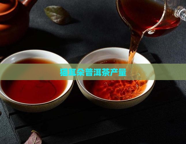 猫耳朵普洱茶产量