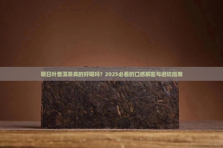 明日叶普洱茶好喝吗