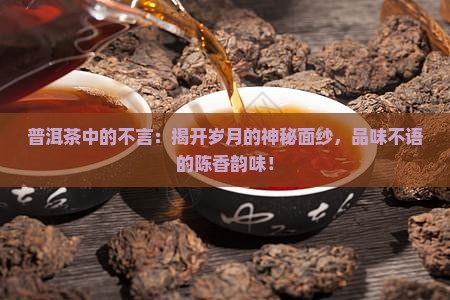 普洱茶中的不言