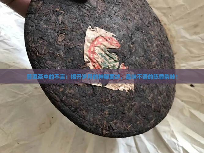 普洱茶中的不言