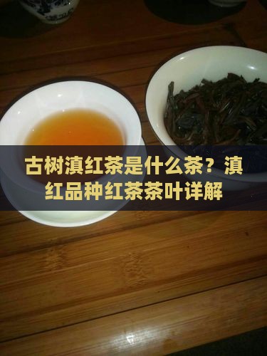 古树滇红茶是什么茶