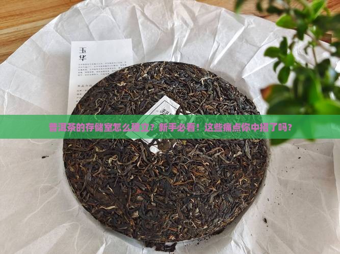 普洱茶的存储室怎么建立