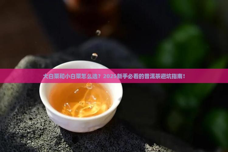 大白菜与小白菜普洱茶