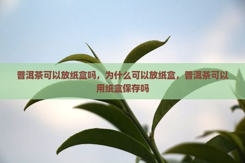 普洱茶可以放纸盒吗