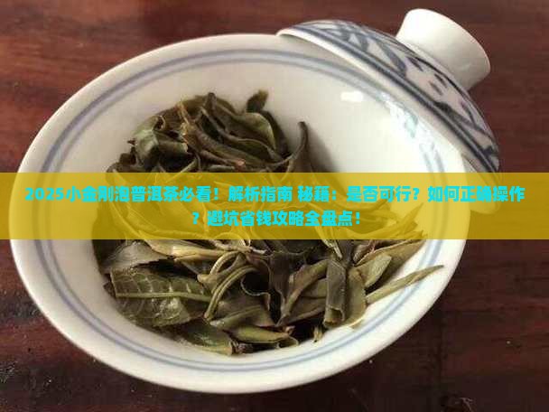 小金刚可以用普洱茶泡吗