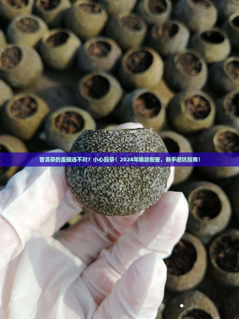 普洱茶的盖碗器型