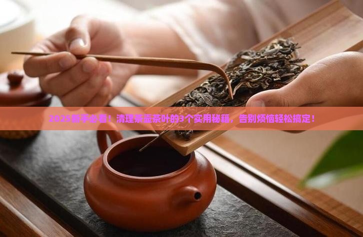 清理茶壶茶叶的工具
