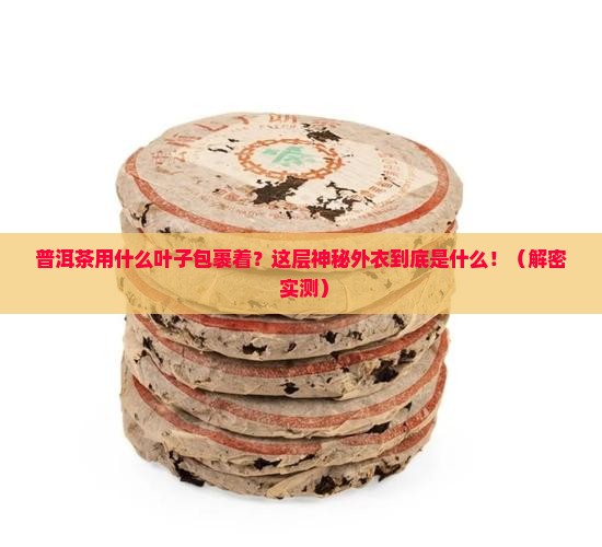 普洱茶用什么叶子包裹着