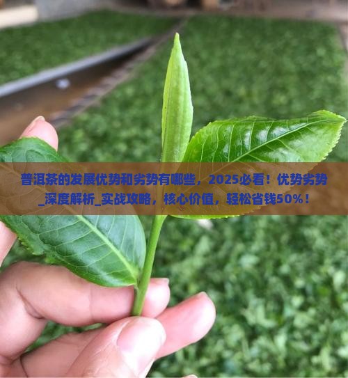 普洱茶的发展优势和劣势有哪些