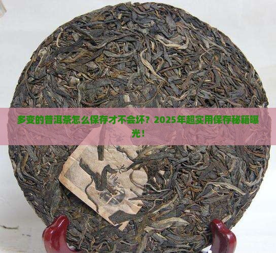 多变的普洱茶怎么保存不会坏