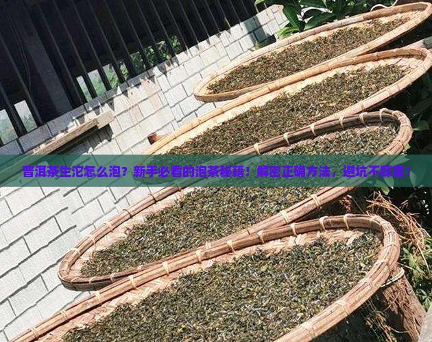 普洱茶生沱茶怎么泡