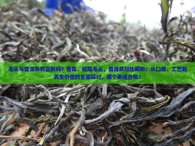 毛尖喝普洱茶有区别吗