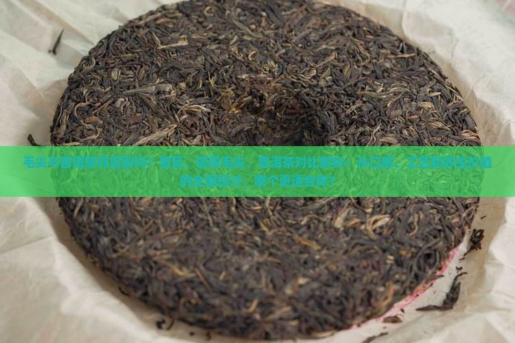 毛尖喝普洱茶有区别吗