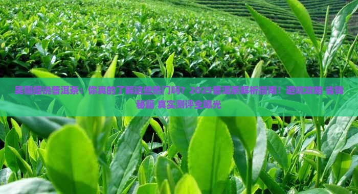 吴疆细说普洱茶品牌