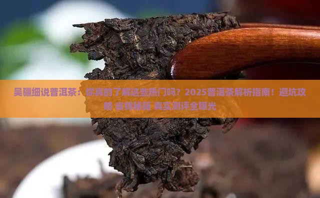 吴疆细说普洱茶品牌