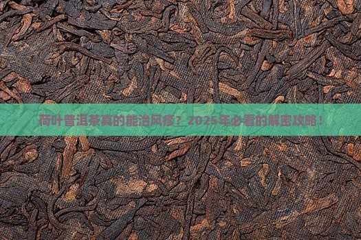 荷叶普洱茶风疹