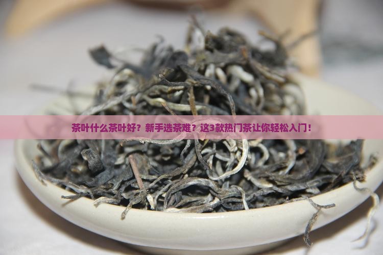 茶叶什么茶叶好