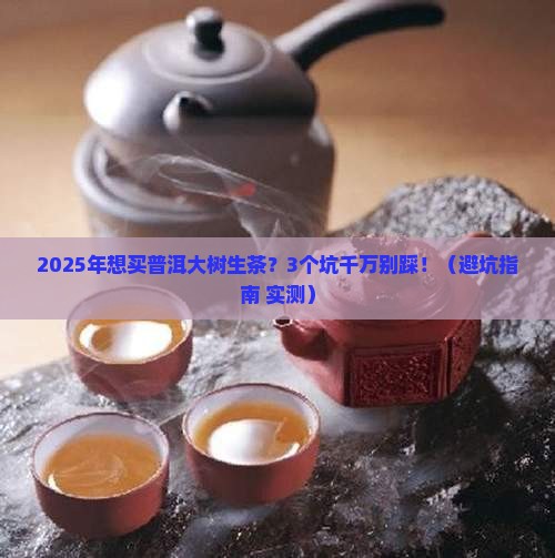 普洱大树生茶的价格