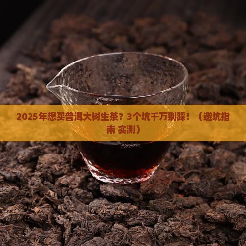 普洱大树生茶的价格