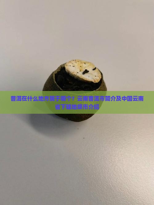 普洱在什么地方属于哪个国家