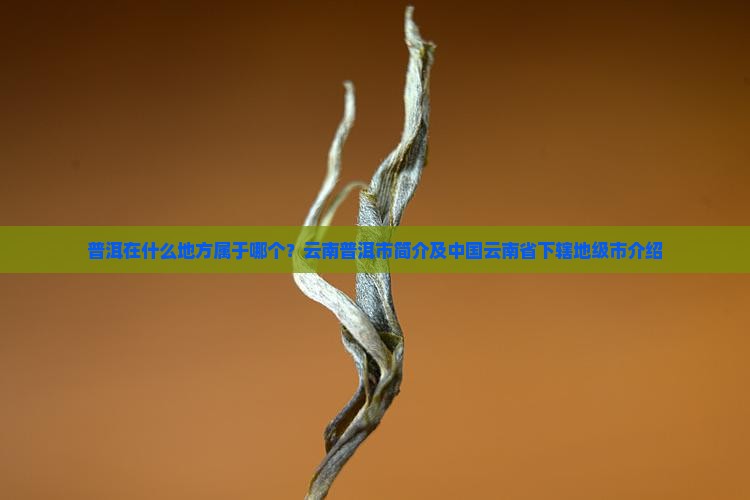 普洱在什么地方属于哪个国家