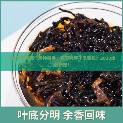 大益普洱茶比较香的品种