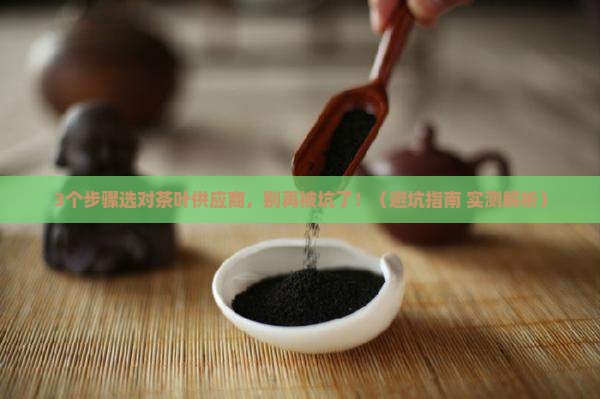 茶叶供应商选择
