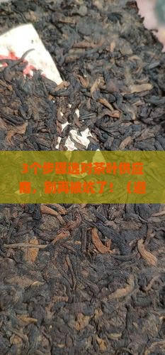 茶叶供应商选择