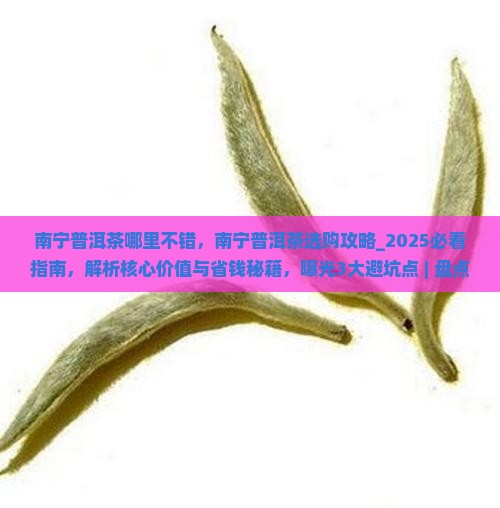 南宁普洱茶哪里不错