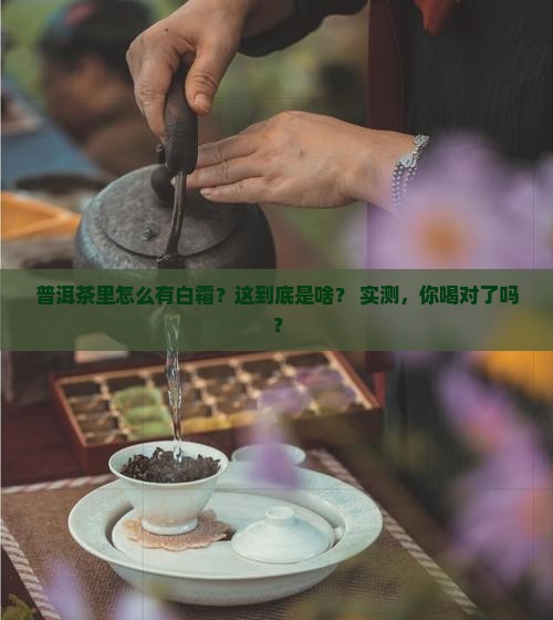 普洱茶里面的白霜是什么
