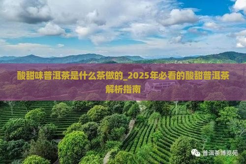 酸甜味普洱茶是什么茶做的