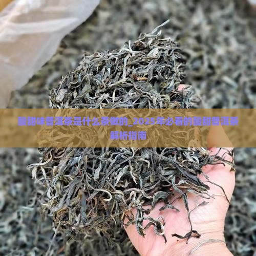 酸甜味普洱茶是什么茶做的