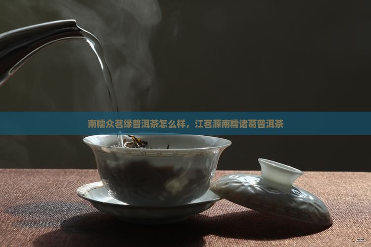 南糯众茗缘普洱茶