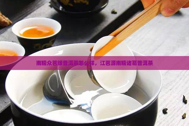 南糯众茗缘普洱茶
