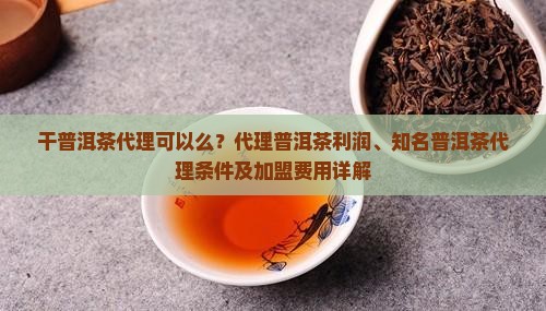 干普洱茶代理可以么