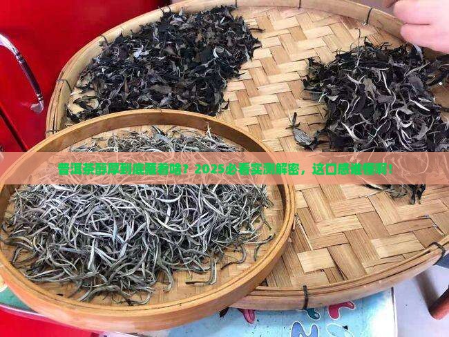 普洱茶醇厚代表什么