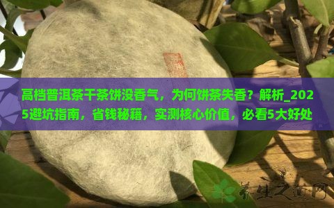 高档普洱茶干茶饼没香气