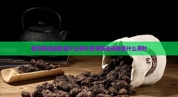 普洱茶逍遥客是什么茶叶