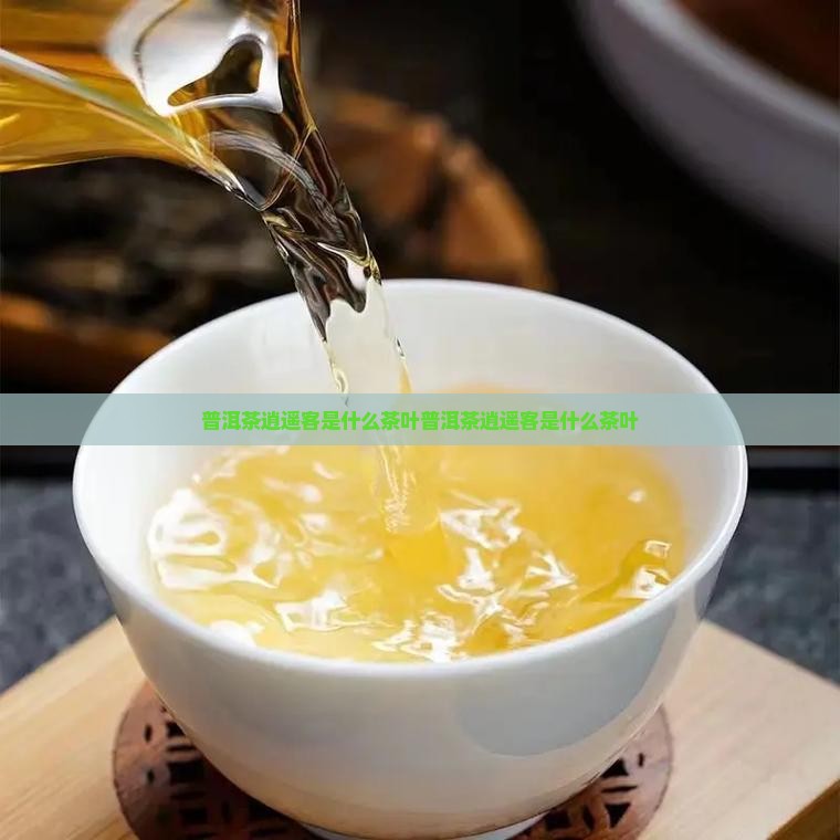 普洱茶逍遥客是什么茶叶