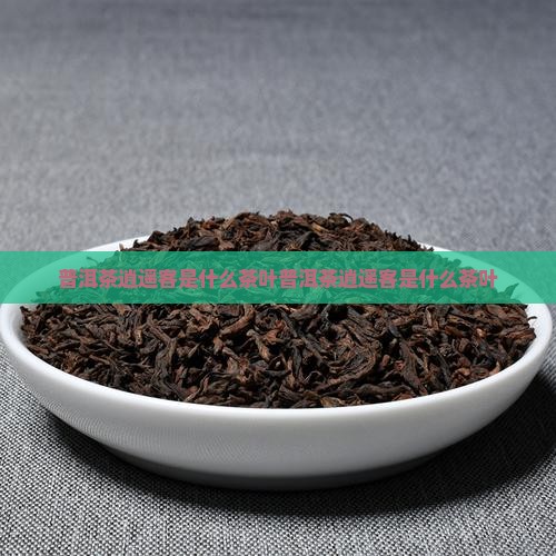 普洱茶逍遥客是什么茶叶