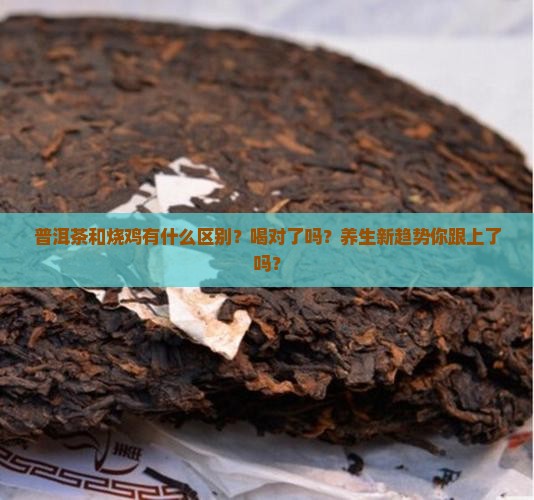 普洱茶和烧鸡的区别