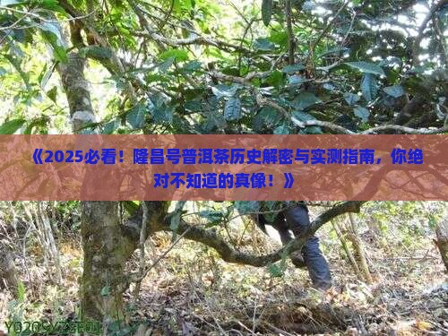 隆昌号普洱茶历史