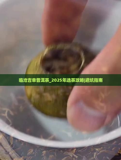 临沧吉幸普洱茶