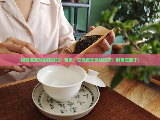 喝普洱茶对血压好吗